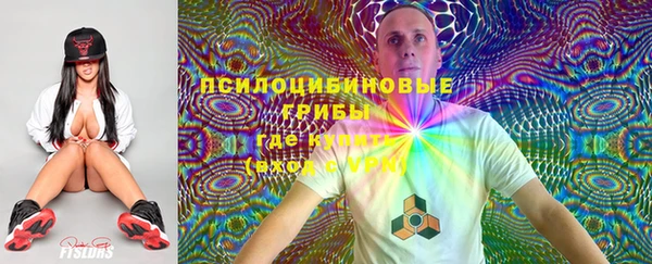 а пвп мука Богданович