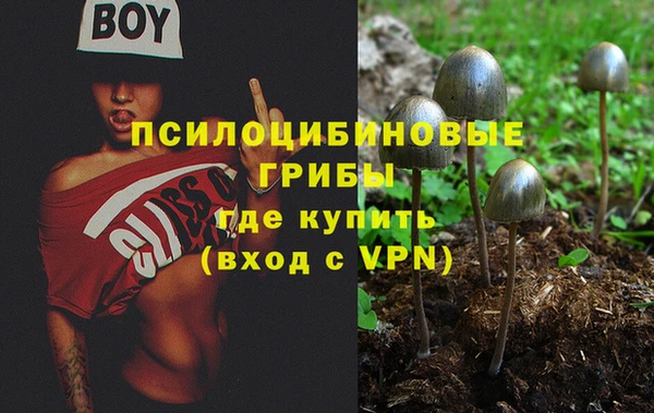 индика Зеленокумск