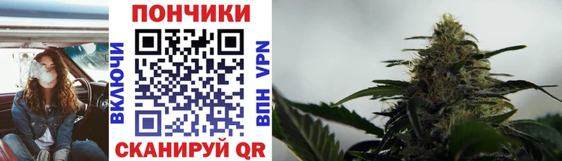 что такое Кологрив Бошки марихуана индика